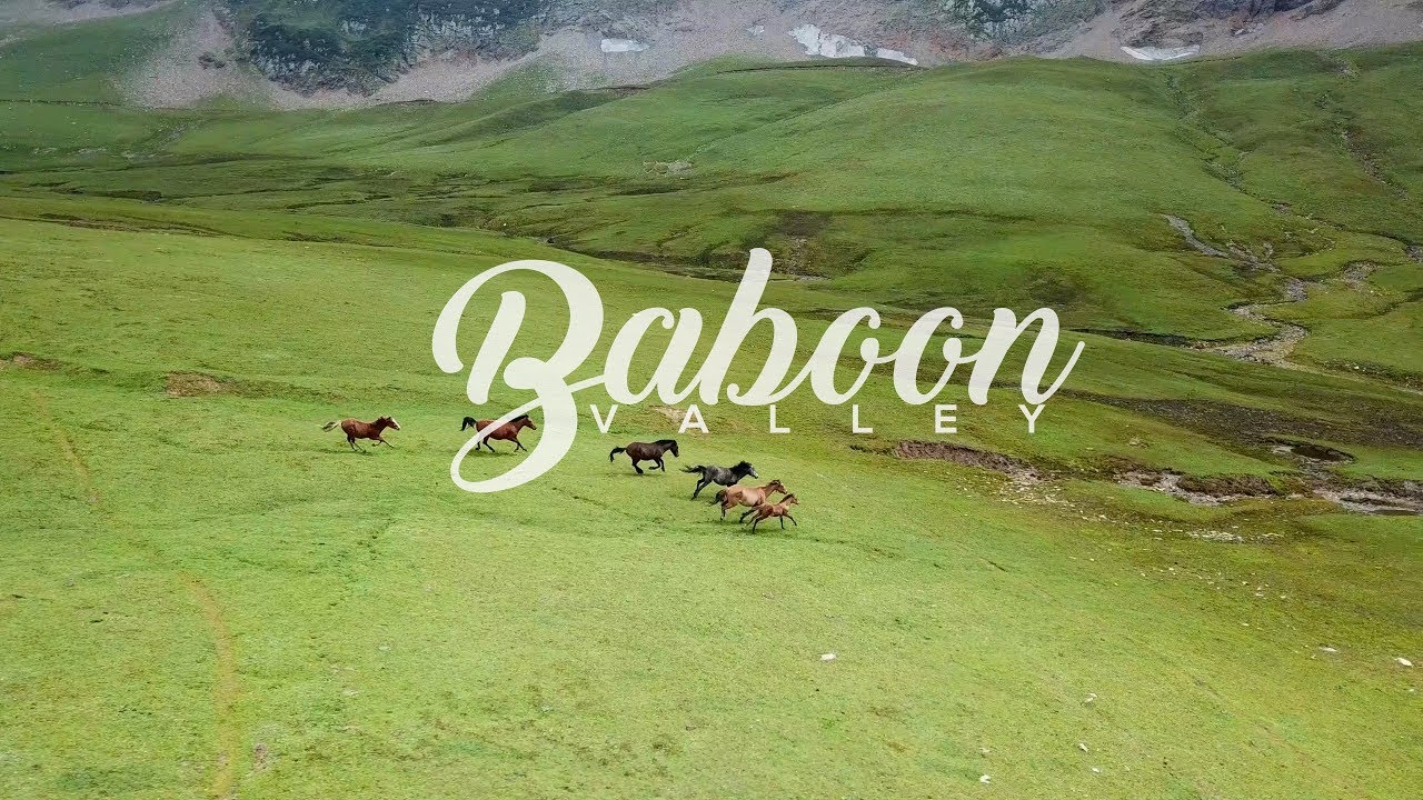 baboon valley tour packages
