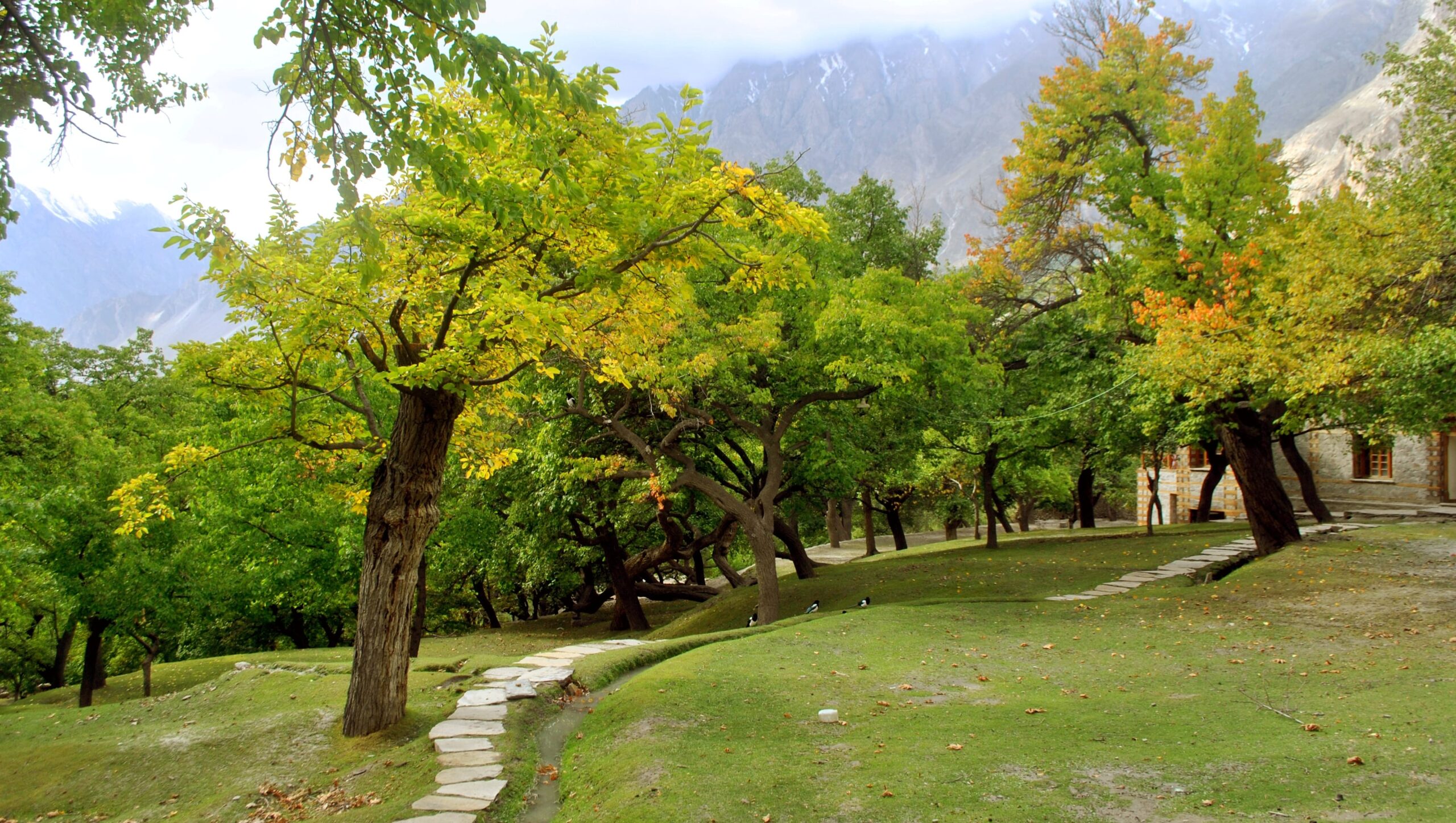 things to do in hunza 