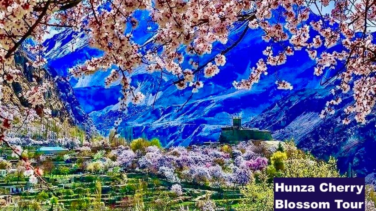 Cherry-Blossom-Hunza-Skardu-F